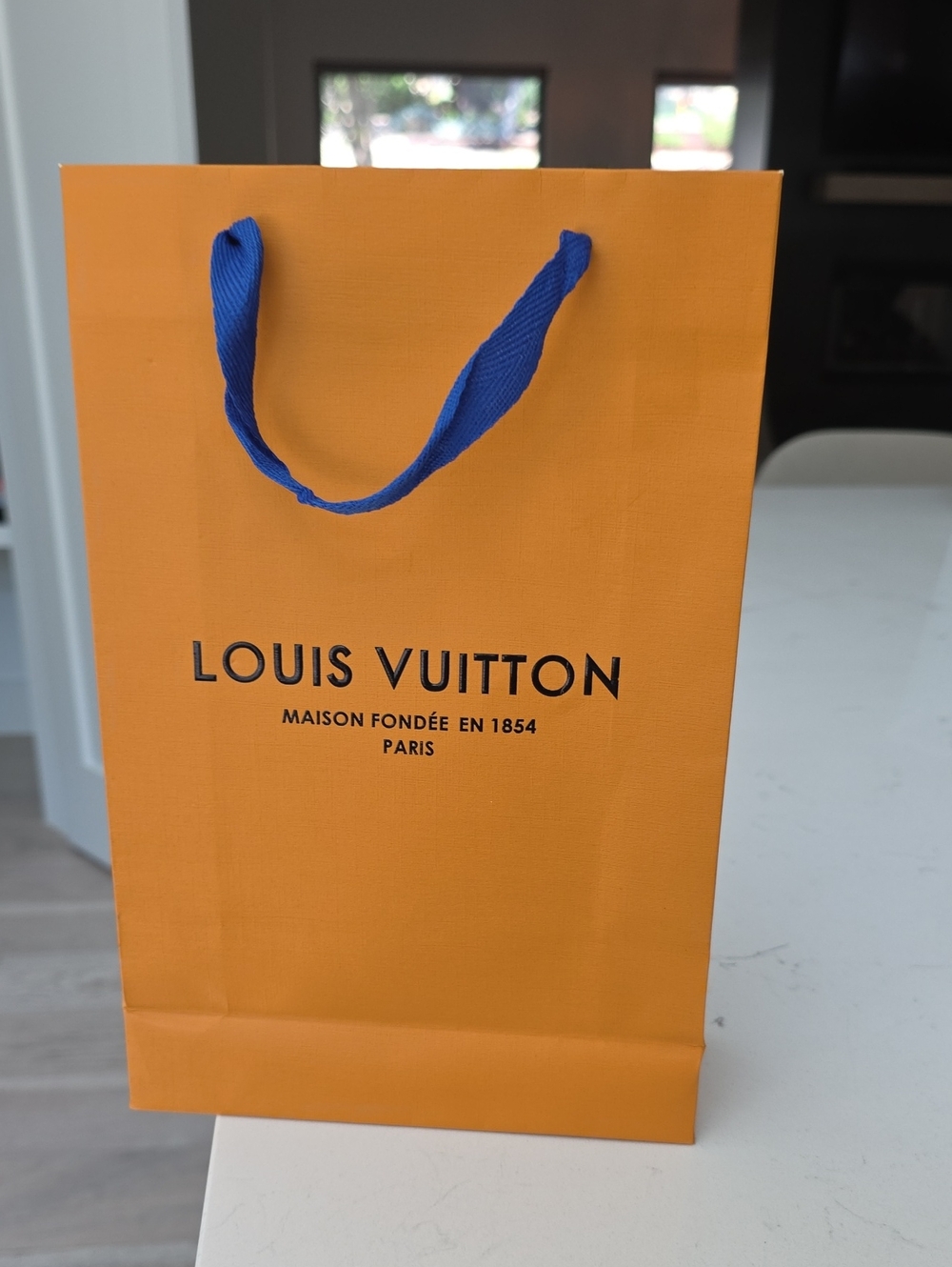 LOUIS VUITTON GIFTBAG